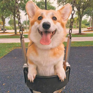 依旧雨姐45码大汗脚