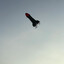flying penis