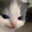 kqipll’s's avatar