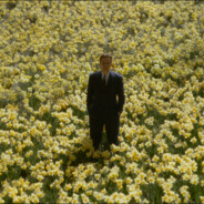 活了99万9999次的猫