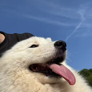 遇事不决问春风