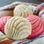 Catador de Conchas