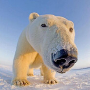 นักรบมังกร