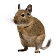 Кузьмамен228