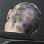 Pave