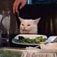 No Vegetable Cat