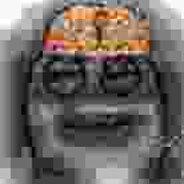 TurboTutankhamonMarauderMurderer