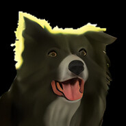 Mickey ZeBordercollie