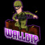 walldip