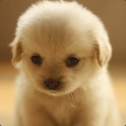 诱敌深入王二小