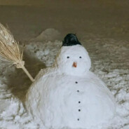 哀家头发太多了