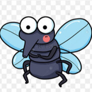 白眼果蝇最后波纹