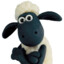 Sheep Shaun