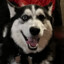DogLover609
