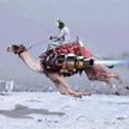 KameltrimmarN^ goc1k