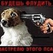 Alex_78