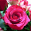 Lacuna~Heart