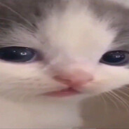 я еще многое мог