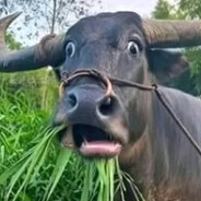 seblak mercon cibaduyut 69