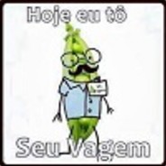 Seu Vagem