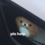 PuppyFlup99