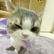 Kishay