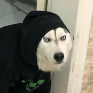 𝓮𝓭𝓮𝓷 𝓻𝓮𝓬