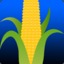 corn217