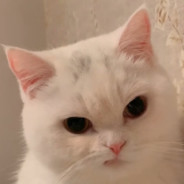 今天学数学了嘛