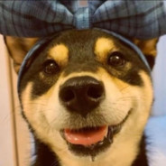 求求了团队一点吧