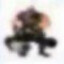 Mork
