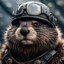 Bober_Tankist