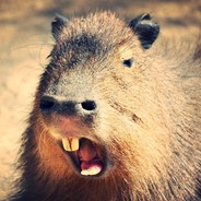 Capivara Divina