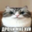 Жопатрахер1974