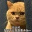 XuetuOFxuetu