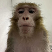 Olzhkz - steam id 76561198908524234