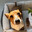 dachsbun