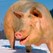 мистер свин