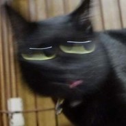 狗王Dogk