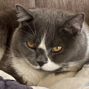 学过高数的都知道，这个积吧，越导越小