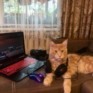 shibby ヅ - steam id 76561198030552241