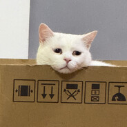 小张今天吃什么