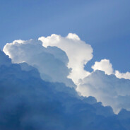 郁金香没你浴巾香