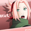fdg Sakura _