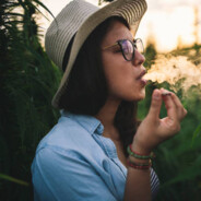 Kici Kici skins.army