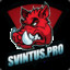 Svintus.Pro