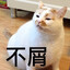 不断堕落的才是人生