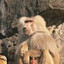 sammebastosj
