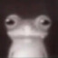Rezi