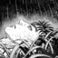 sleeping DRAEF